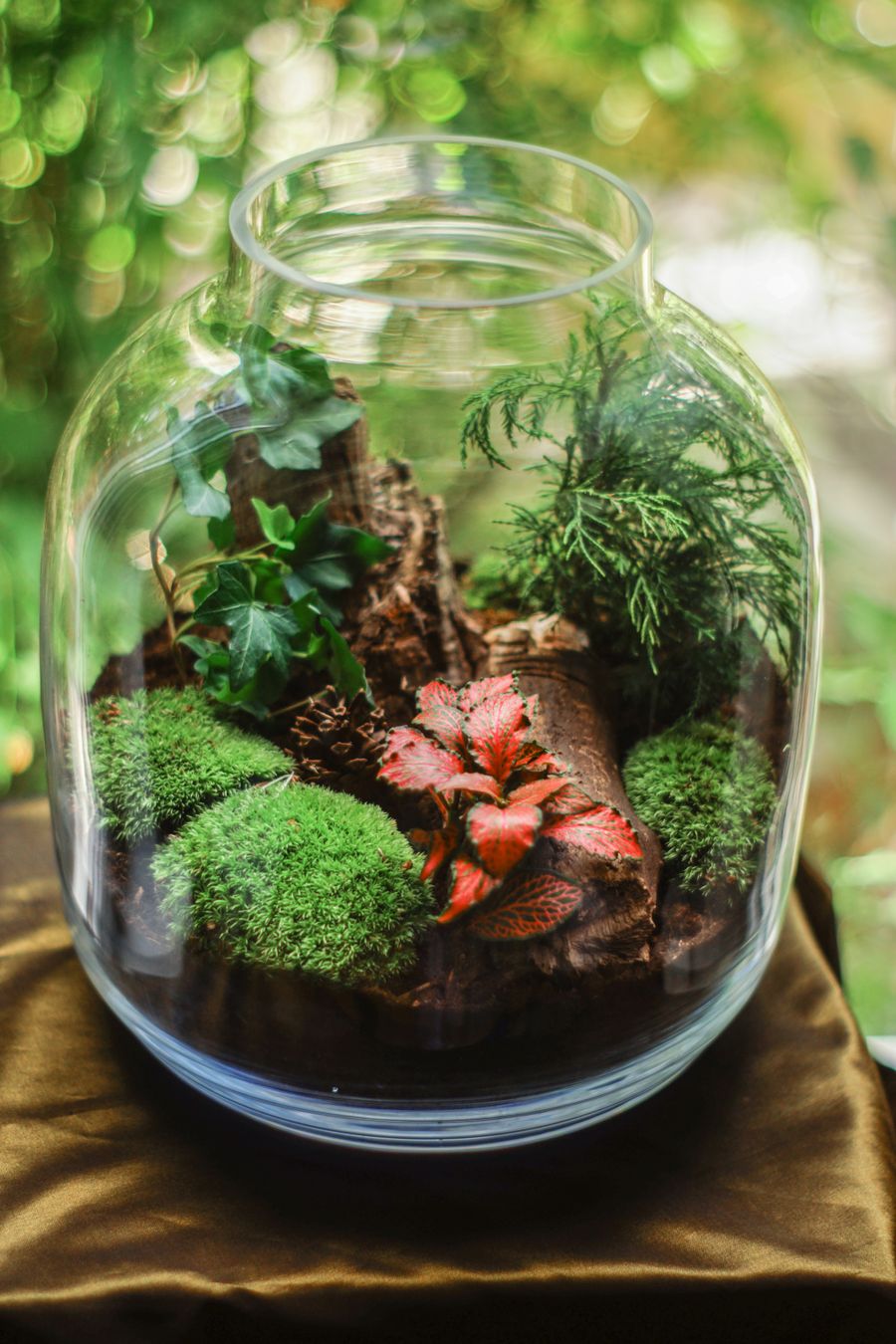 Closed terrarium jar with moss, ferns and red fittonia